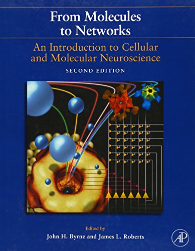 From Molecules to Networks: An Introduction to Cellular and Molecular Neuroscience von Academic Press